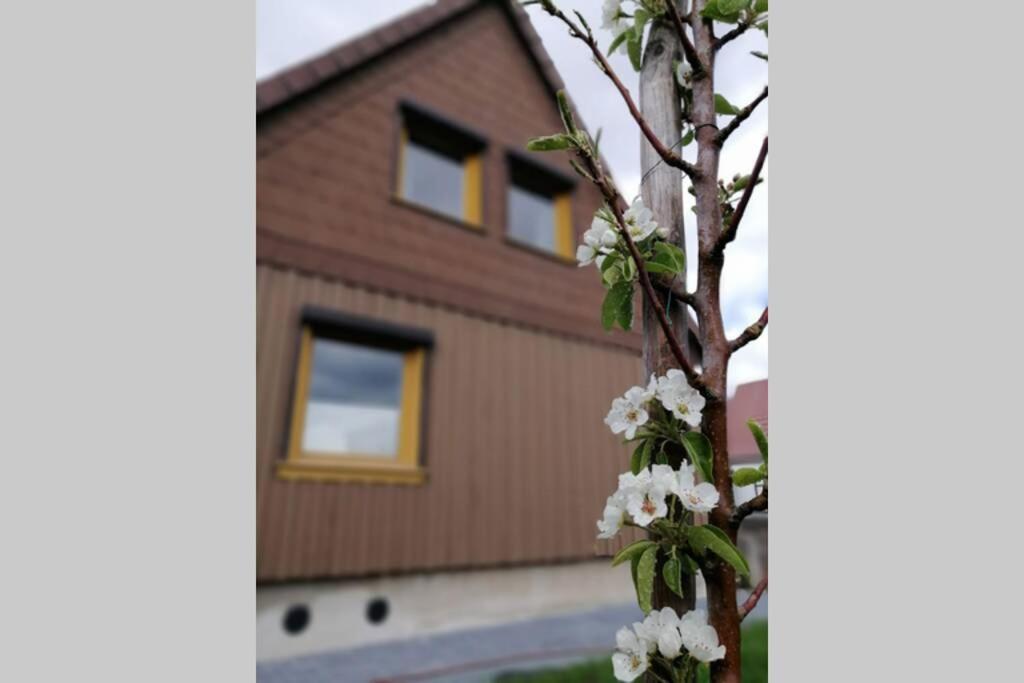 Harzhaus Ida Villa Elbingerode  Exterior photo